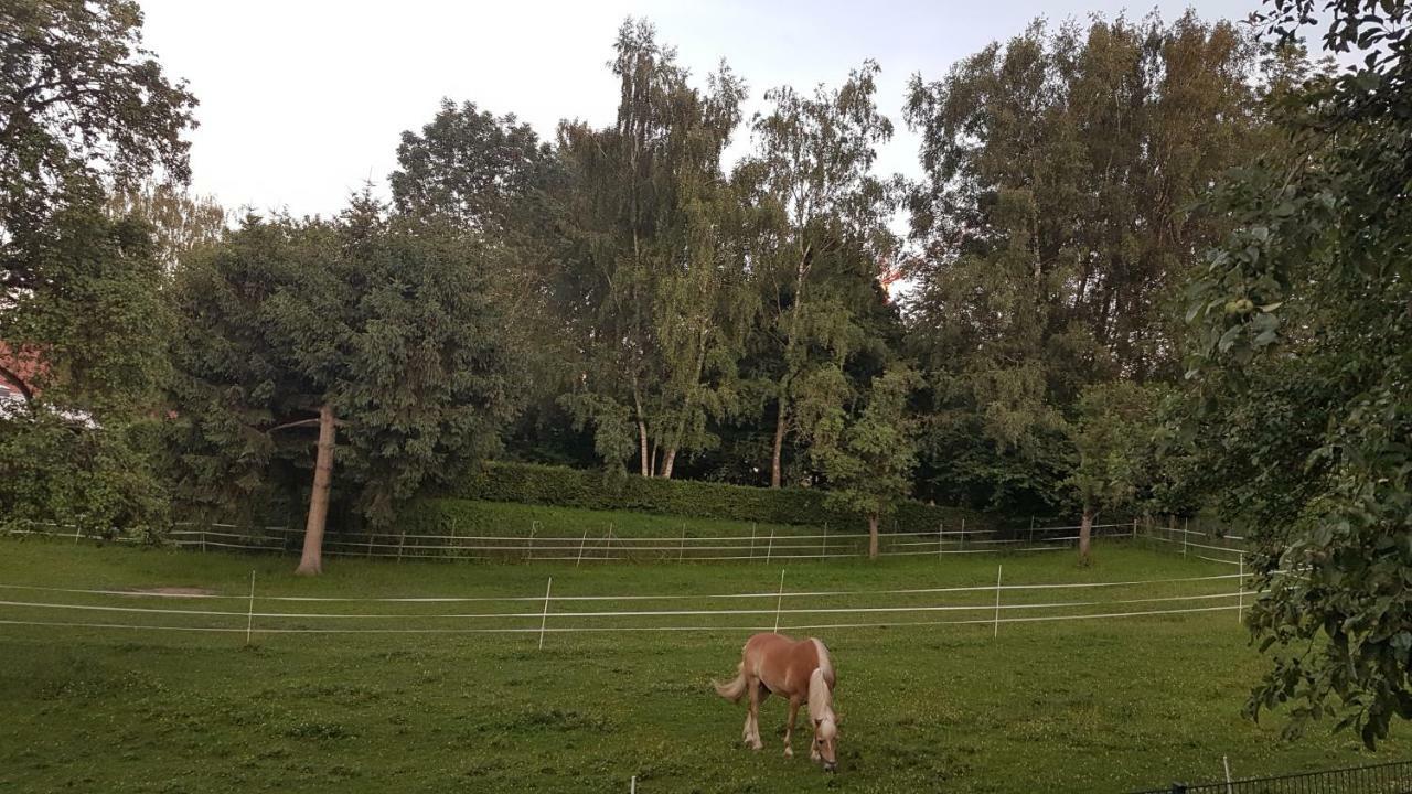 Ferienwohnung Sonnenschein Бургау Экстерьер фото